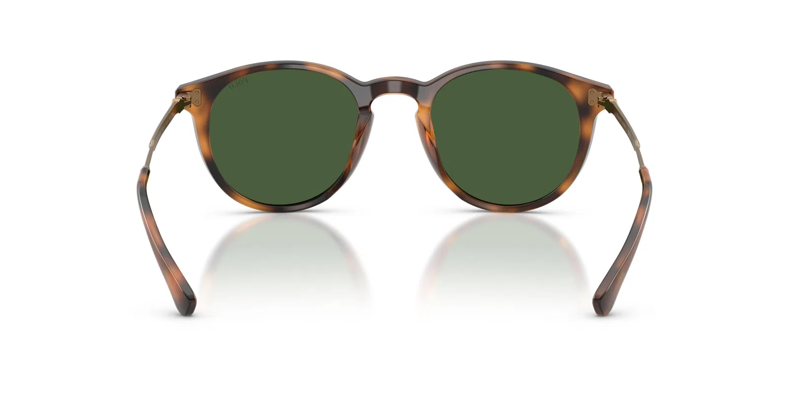 Polo 4239U Sunglasses - view 13